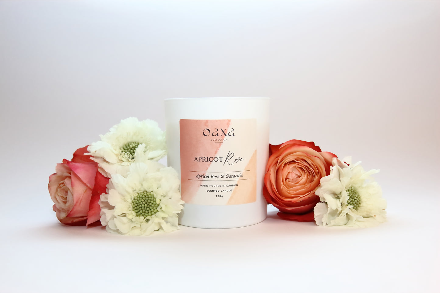 Apricot Rose | Apricot Rose & Gardenia Candle