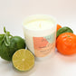 Manda-rind | Mandarin, Lime & Basil Candle